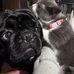 Debra Webber Burkhart - Facebook