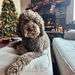 Debra Burns - @debraburns_rda - Instagram