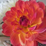 Debra Burns - @debra.burns.7796 - Instagram