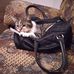 Debra Burnside - Facebook