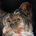 Debbie Burroughs - Facebook