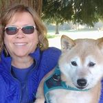 debra burt - @debraburt3 - Instagram