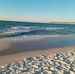 Debra Cage - Facebook