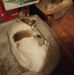 Debra Call - Facebook