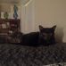Debra Call - Facebook