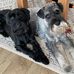 Debbie Carson - Facebook