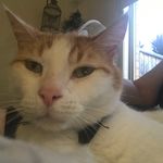 Debra Carson - @debracarson1971 - Instagram