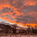 Debra Carson-Kredit - @debracarsonkredit - Instagram