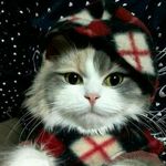 Debra Miller Carson - @dcarson655 - Instagram
