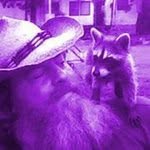 Debra Chapman - @chapmandebra - Instagram