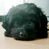 debrachapman337 - @debrachapman337 - TikTok
