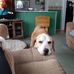Deborah Cheney - Facebook