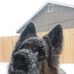 Deborah Cheney - Facebook