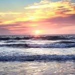 Debra Ann Cheney - @cheney_da - Instagram