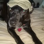 Debra Stcharles Chrisman - @stcharleschrisman - Instagram