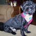 Deborah Click - Facebook