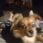 Debra Click - Facebook