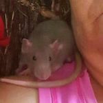Debra Cobb - @cobbdebra - Instagram