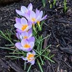 Debra Cobb - @debra.cobb.57 - Instagram