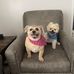 Debra Laquatra Cobb - Facebook