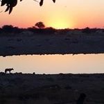 Debra Coetzer - @debracoetzer - Instagram