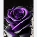 Debra Colon - Facebook
