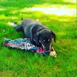Debra Colon - @debracolon6212 - Instagram