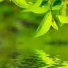 Debra Colon - @debra.colon44 - TikTok