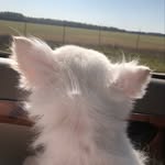Debra O'Connell Hockensmith - @debraoconnellhockensmith - Instagram