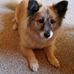 Deb Conquest - Facebook
