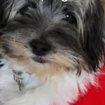 Debra Conrad - @kylo0425 - Instagram