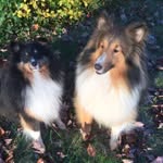 Debra_Conrad - @debra_conrad4 - Instagram