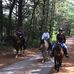 Debra Conroy - Facebook