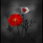 Debra Constant - @debb414 - Instagram