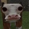 debra.cool - @debra.cool - TikTok