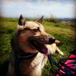 Debra Cope-murphy - @debjmurphy - Instagram