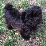 Debra Corbett - @debra.corbett.988 - Instagram