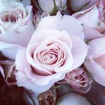 Debra Corbett - @daisymays20 - Instagram