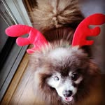 debra corley - @corley309 - Instagram
