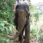 Debra Cornthwaite - @debracornthwaite - Instagram