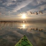 Debra Cornell - @corn1deb - Instagram