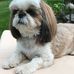 Debra Corning - Facebook