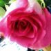 Debra Cosper - Facebook