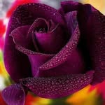 debra cosper - @debracosper59 - Instagram