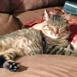 debra cosper - @cosperdebra - Instagram