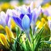 Debra Cosper - Facebook