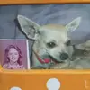 tikidawn - @debracota8 - TikTok