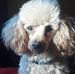Deborah Cotnoir - Facebook