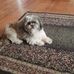 Deb Coulter - Facebook