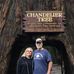 Debbie Coulter Davis - Facebook